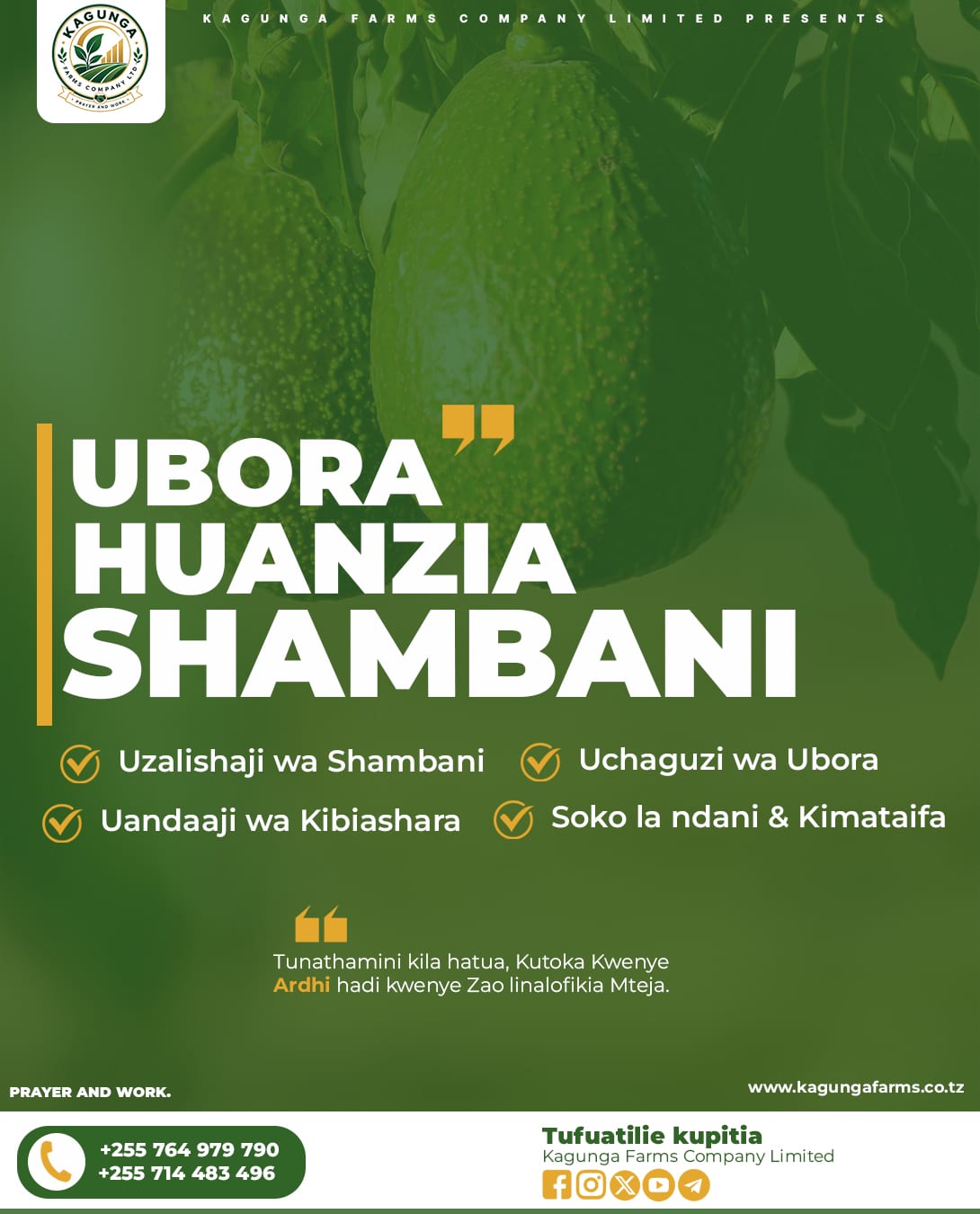 Kagunga Poster 1 – Social Media